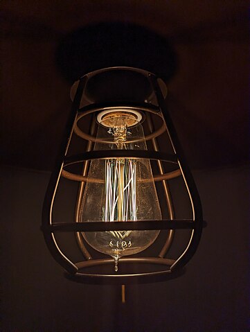 ../_images/361px-Edison_incandescent_light_bulb_enclosed_in_cage.jpg